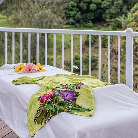 Vila Hawaii Island Retreat At Ahu Pohaku Ho'Omaluhia Kapaau Exteriér fotografie