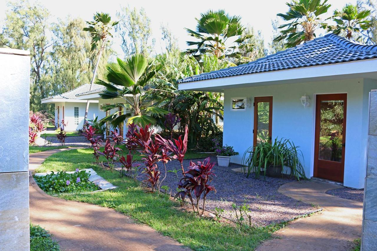 Vila Hawaii Island Retreat At Ahu Pohaku Ho'Omaluhia Kapaau Exteriér fotografie