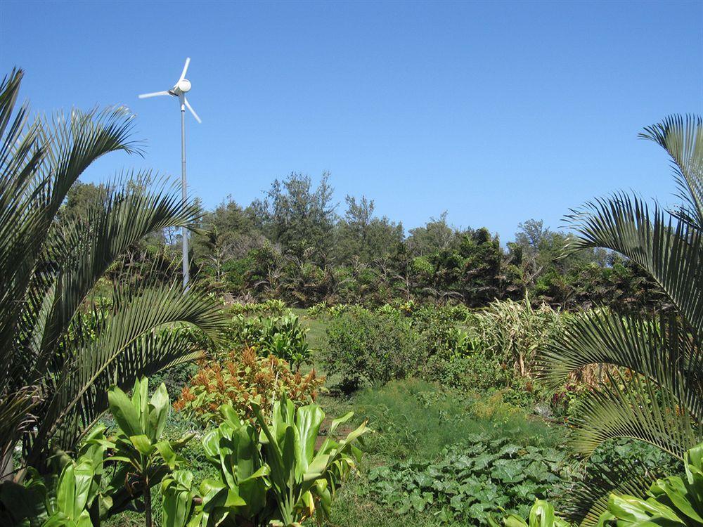 Vila Hawaii Island Retreat At Ahu Pohaku Ho'Omaluhia Kapaau Exteriér fotografie