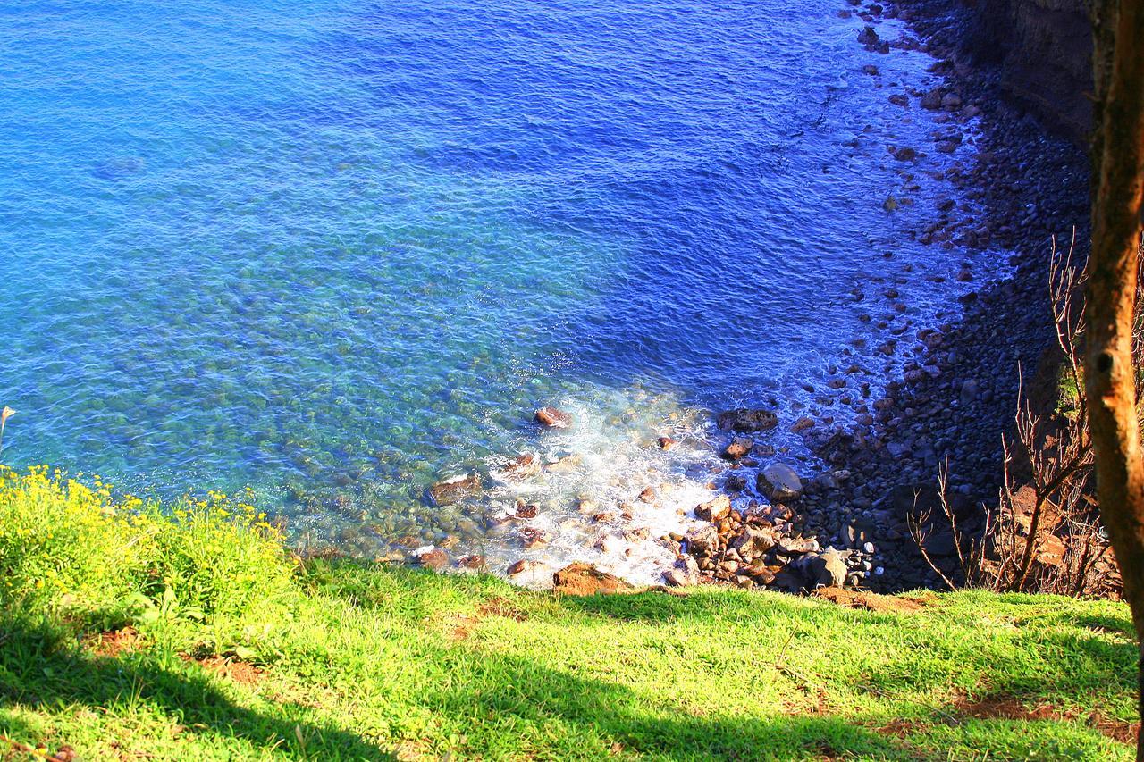Vila Hawaii Island Retreat At Ahu Pohaku Ho'Omaluhia Kapaau Exteriér fotografie