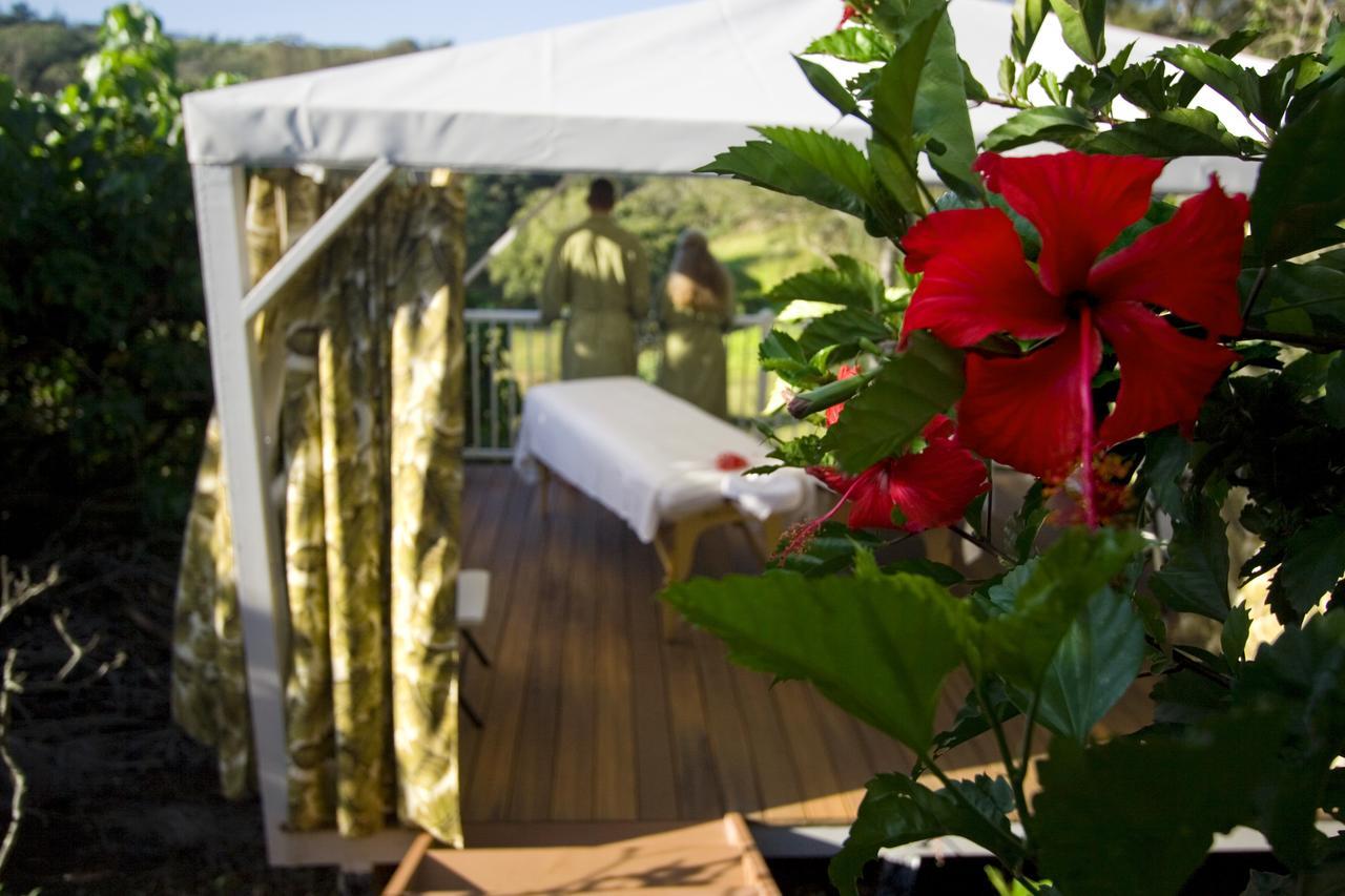 Vila Hawaii Island Retreat At Ahu Pohaku Ho'Omaluhia Kapaau Exteriér fotografie