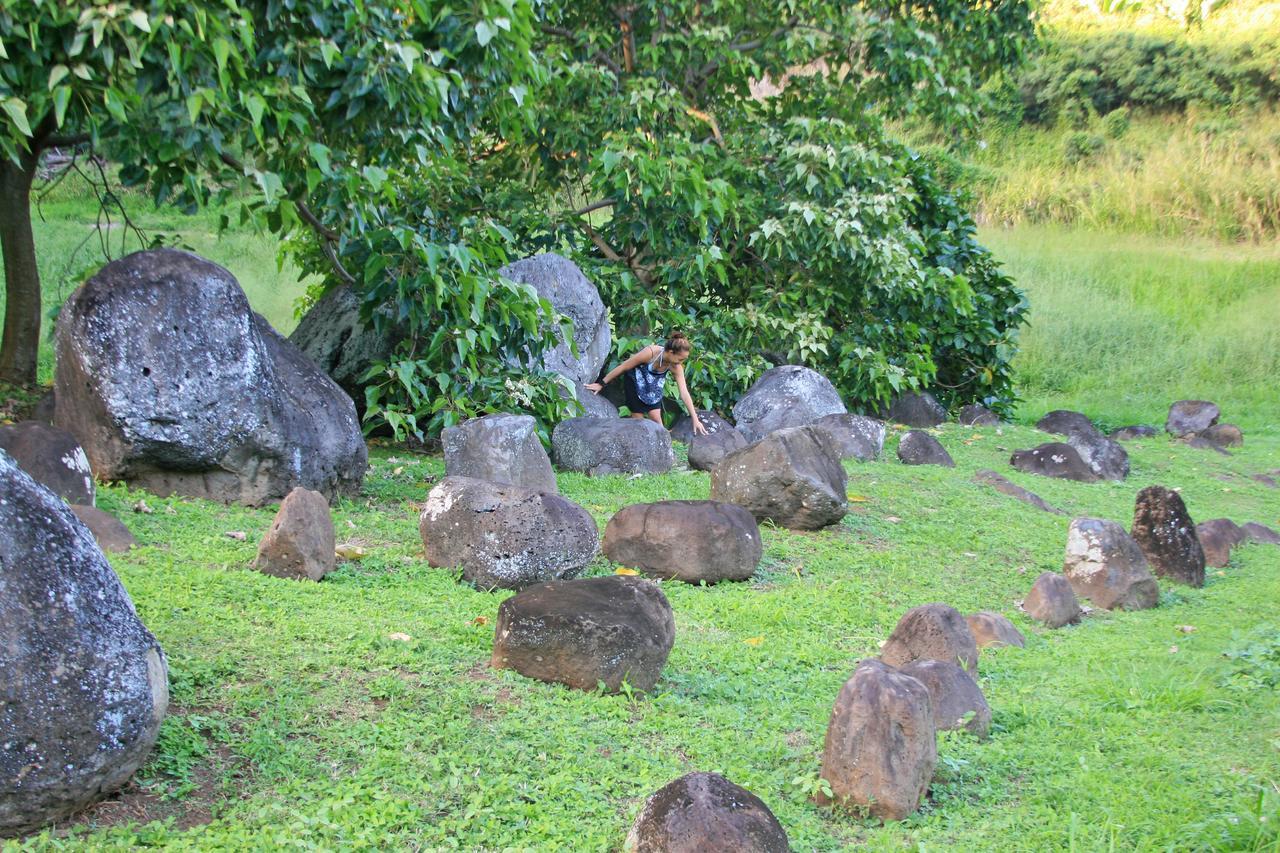 Vila Hawaii Island Retreat At Ahu Pohaku Ho'Omaluhia Kapaau Exteriér fotografie