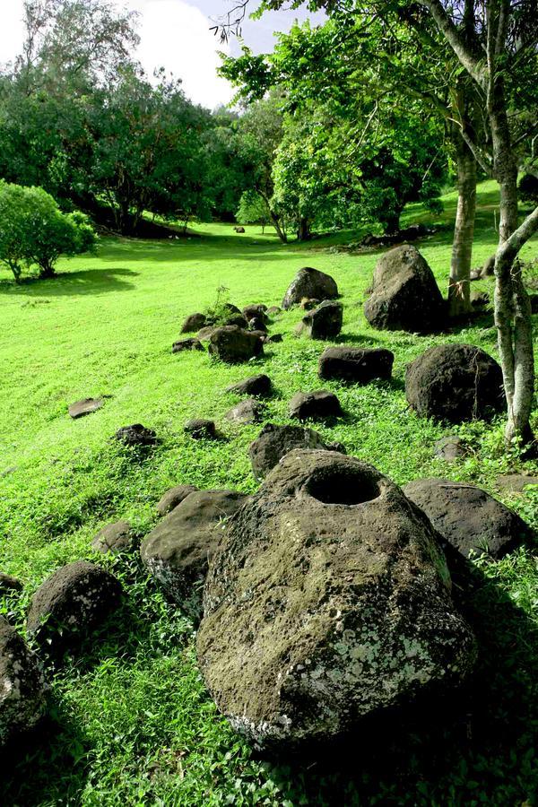 Vila Hawaii Island Retreat At Ahu Pohaku Ho'Omaluhia Kapaau Exteriér fotografie