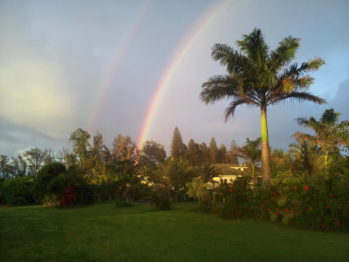 Vila Hawaii Island Retreat At Ahu Pohaku Ho'Omaluhia Kapaau Exteriér fotografie