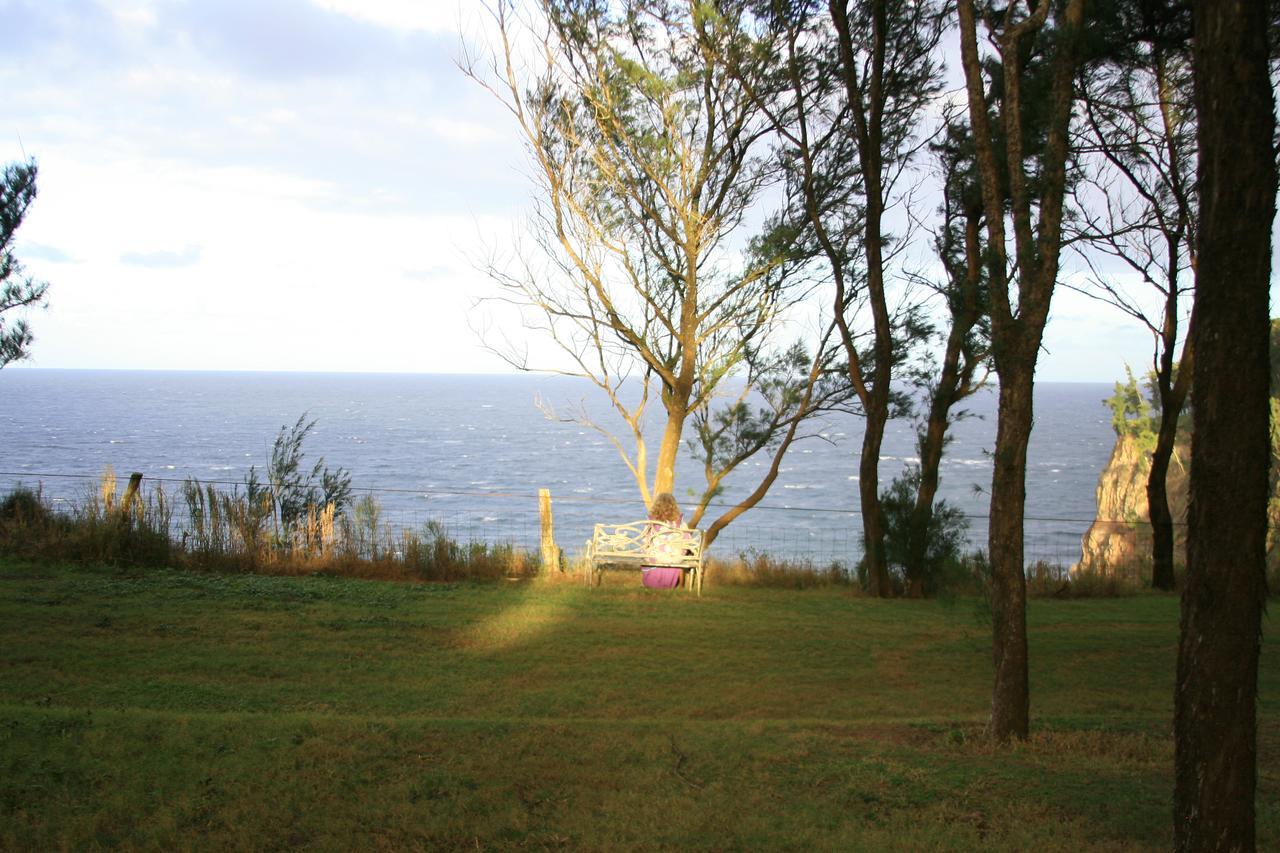 Vila Hawaii Island Retreat At Ahu Pohaku Ho'Omaluhia Kapaau Exteriér fotografie