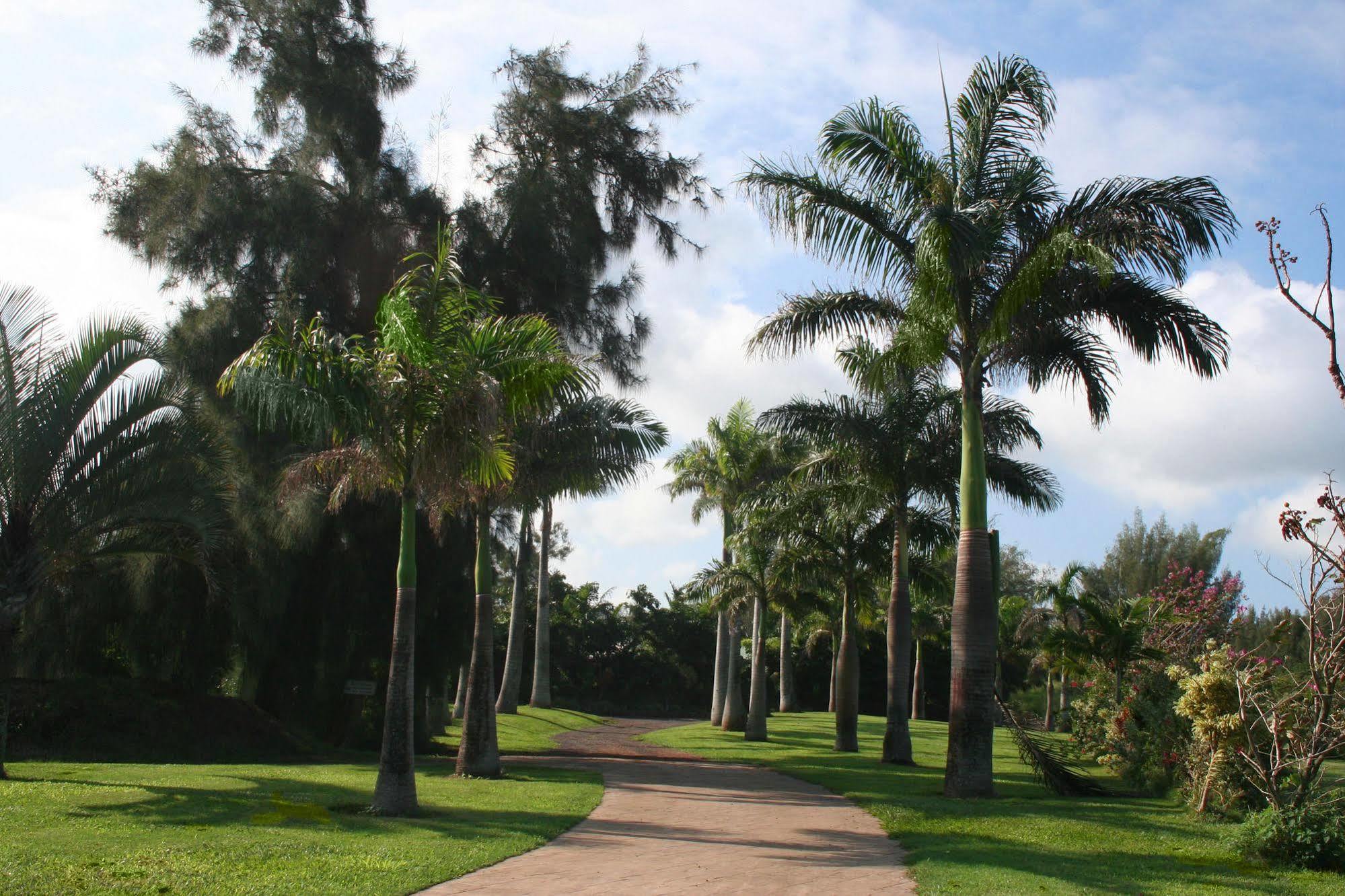 Vila Hawaii Island Retreat At Ahu Pohaku Ho'Omaluhia Kapaau Exteriér fotografie